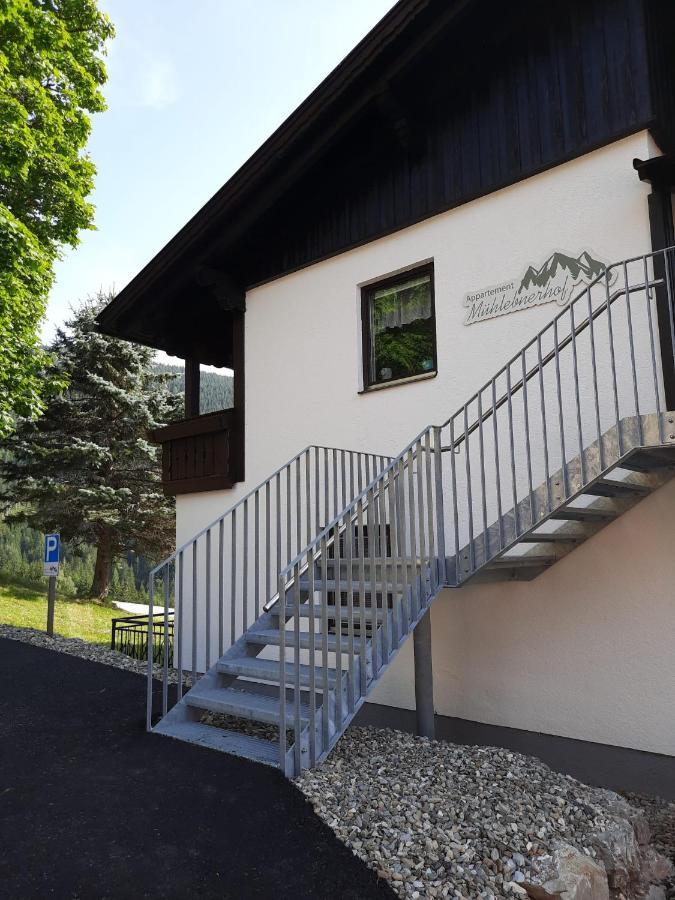 רמסאו אם דכשטיין Appartement Muehlebnerhof מראה חיצוני תמונה